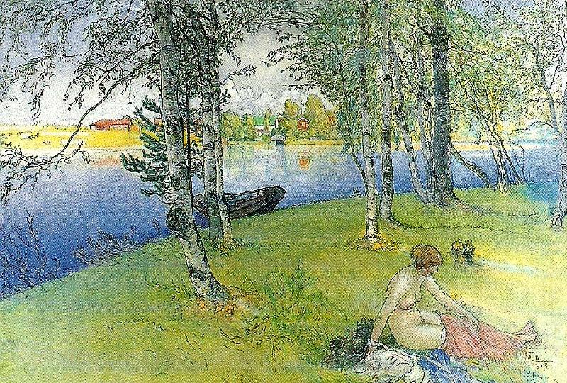 Carl Larsson nakenmodell pa bullerholmen-sommardag china oil painting image